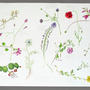 Esquisses botaniques . Aquarelle sur papier Arches . 57 x 76 cm