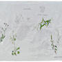 Pampa - “Mauvaises Herbes” - Amaranthus quitensis, Commelina erecta . Herbier sur toile . Peinture acrylique et gesso sur toile . 180 x 90 cm . 2019