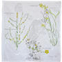 Spetses - Hiver – Printemps. Limonastrum, Phlomis fruticosa . Herbier sur toile . Peinture acrylique et gesso sur toile . 68 x 67 cm . 2020